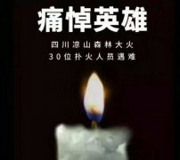 陽光甚好，是有人為我們擋住了黑暗...